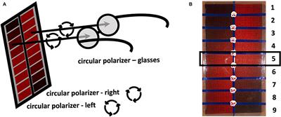 Evaluation of the Reddesa Chart, a New Red Desaturation Testing Method, for Optic Neuritis Screening and Grading in Clinical Routine